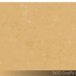 3450 Giraffa Bronzino_